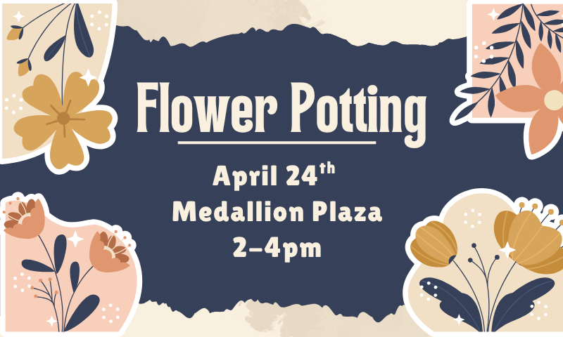 Spring Flower Potting