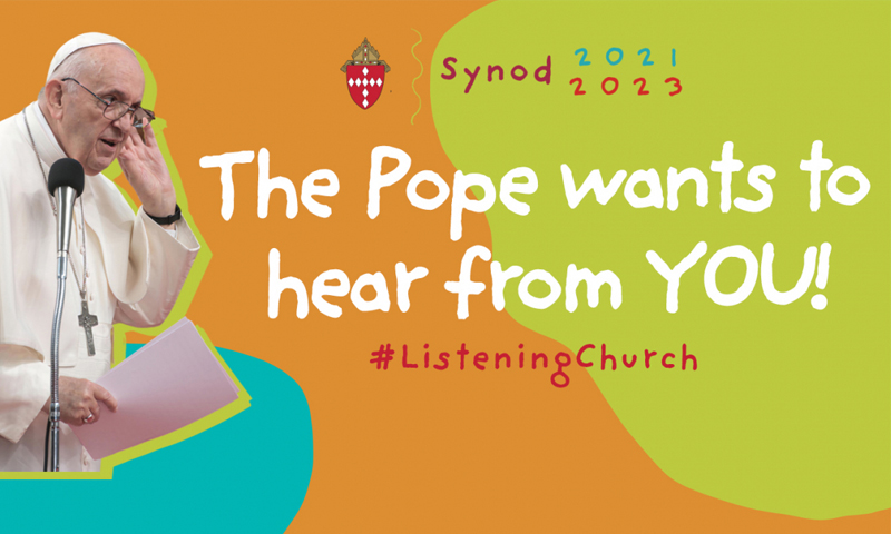 Synod Survey